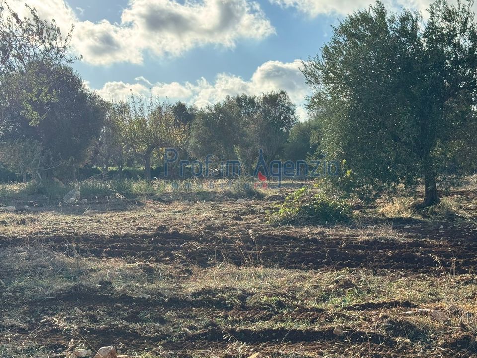Helårsgrund i Carovigno, Brindisi - foto 4